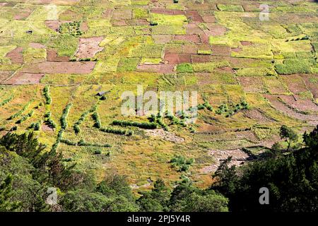 Terres cultivées, petites fermes dans un spectaculaire cratère volcanique de cova de paul sur l'île de Santo antao, cabo verde Banque D'Images