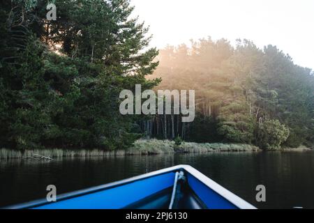 Sunbeam en passant par les arbres jusqu'à la rivière, vue de l'intérieur d'un point de vue de bateau tôt le matin. Photographie de POV Banque D'Images