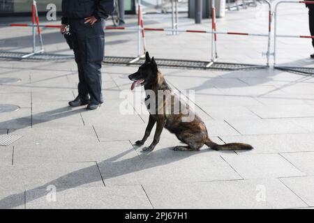 Berlin, Berlin, Allemagne. 31st mars 2023. Le roi Charles III et sa femme Camilla prennent le train de Berlin à Hambourg. Le couple royal britannique se rend à Hambourg avec le président fédéral Frank-Walter Steinmeier. Après que le couple royal a couvert la route de près d'un kilomètre et demi de l'hôtel Adlon à la gare, Charles et Camilla sont accueillis par le patron de DB Richard Lutz. (Credit image: © Simone Kuhlmey/Pacific Press via ZUMA Press Wire) USAGE ÉDITORIAL SEULEMENT! Non destiné À un usage commercial ! Crédit : ZUMA Press, Inc./Alay Live News Banque D'Images