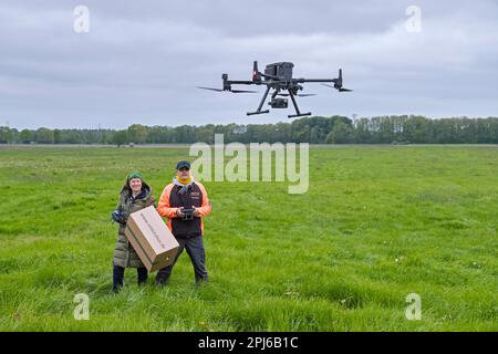 L'équipe de secours utilise un drone professionnel pour localiser les naons de chevreuil cachés dans l'herbe avec une caméra thermique avant de tondre les prairies au printemps Banque D'Images