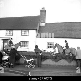 1965, historique Thurlow Hounds, chiens et chevaux dans le jardin avant de la maison, les gens de la région debout sur la chaussée, regarder, un tenant son enfant en bas âge, à côté de poussette, Angleterre, Royaume-Uni. La Thurlow Hunt a été fondée en 1858. Banque D'Images