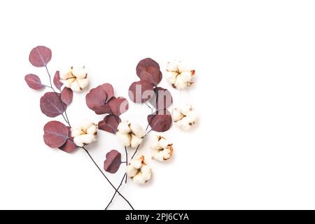 Composition des fleurs. Motif en fleurs de coton et branches d'eucalyptus sur fond blanc. Flat lay, vue de dessus avec espace de copie Banque D'Images