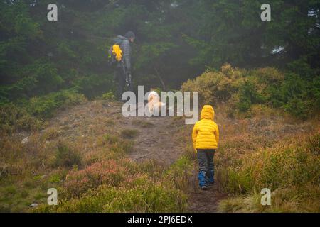 Maman avec son fils et ses chiens marchent au-dessus des bûches couchés sur un petit ruisseau. Montagnes polonaises, Pologne, Europe Banque D'Images