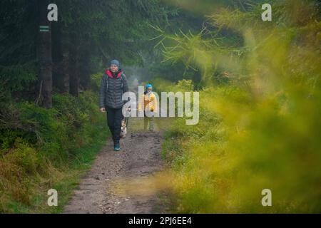 Maman avec son fils et ses chiens marchent au-dessus des bûches couchés sur un petit ruisseau. Montagnes polonaises, Pologne, Europe Banque D'Images