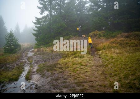 Maman avec son fils et ses chiens marchent au-dessus des bûches couchés sur un petit ruisseau. Montagnes polonaises, Pologne, Europe Banque D'Images