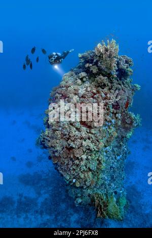 Plongeur regardant la tour de corail de quinze mètres de haut faite de diverses espèces de corail pierreux, Mer Rouge, St. Johns, Égypte Banque D'Images