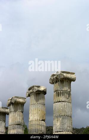 Colonnes de Lonic, Temple d'Athena, Priene, Turquie Banque D'Images