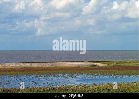 Mer des Wadden à marée haute, marais salants Banque D'Images