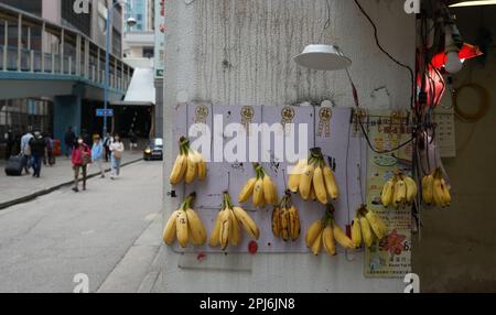 Les bananes sont accrochées à la vente sur un mur d'un magasin, dans un bâtiment industriel de Kwun Tong. 28MAR23 SCMP / Sam Tsang Banque D'Images