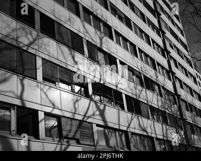 Vue extérieure d'une façade d'un immeuble de bureaux avec l'ombre des branches reflétée dans la fenêtre Banque D'Images