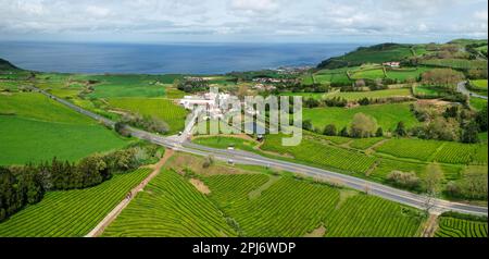 31 mars 2023, Maia, Portugal - vue aérienne de Gorreana, la plus ancienne, et de nos jours la seule plantation de thé en Europe, située sur l'île de Sao Miguel, Banque D'Images