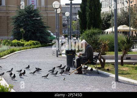 Un vieil homme nourrit les oiseaux dans un parc public. Rijeka, Croatie Banque D'Images