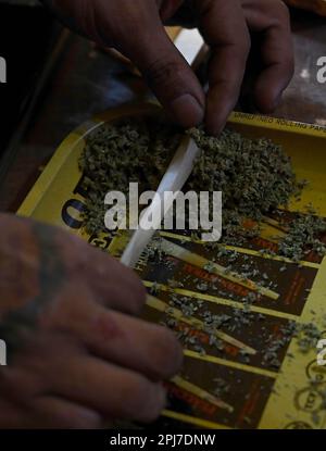 Vue détaillée d'une cigarette de marijuana/d'un joint en cours de préparation à un compartiment de mauvaises herbes. Patpong, le tristement célèbre quartier de divertissement aux feux rouges de Bangkok, a rouvert ses portes depuis la pandémie de Covid-19. Il a refait surface comme un marché de nuit de nourriture de rue avec seulement quelques bars Go Go restants, 2 rues offrant également des souvenirs, des vêtements et des babioles. Depuis que la marijuana a été légalisée sur 9 juin, des points de vente de marihuana ont également été ouverts dans la région. Banque D'Images
