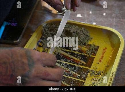 Vue détaillée d'une cigarette de marijuana/d'un joint en cours de préparation à un compartiment de mauvaises herbes. Patpong, le tristement célèbre quartier de divertissement aux feux rouges de Bangkok, a rouvert ses portes depuis la pandémie de Covid-19. Il a refait surface comme un marché de nuit de nourriture de rue avec seulement quelques bars Go Go restants, 2 rues offrant également des souvenirs, des vêtements et des babioles. Depuis que la marijuana a été légalisée sur 9 juin, des points de vente de marihuana ont également été ouverts dans la région. Banque D'Images