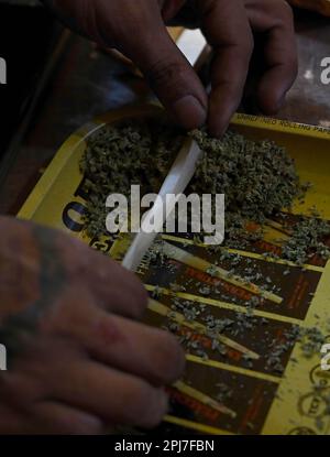 Bangkok, Thaïlande. 30th mars 2023. Vue détaillée d'une cigarette de marijuana ou d'un joint en cours de préparation dans un compartiment de mauvaises herbes. Le tristement célèbre quartier de divertissement aux feux rouges de Bangkok, Patpong, a rouvert depuis la pandémie de Covid-19. Il a refait surface comme un marché de nuit de nourriture de rue avec seulement quelques bars Go Go restants, 2 rues offrant également des souvenirs, des vêtements et des babioles. Depuis que la marijuana a été légalisée sur 9 juin, des points de vente de marihuana ont également été ouverts dans la région. (Credit image: © Paul Lakatos/SOPA Images via ZUMA Press Wire) USAGE ÉDITORIAL SEULEMENT! Non destiné À un usage commercial ! Banque D'Images