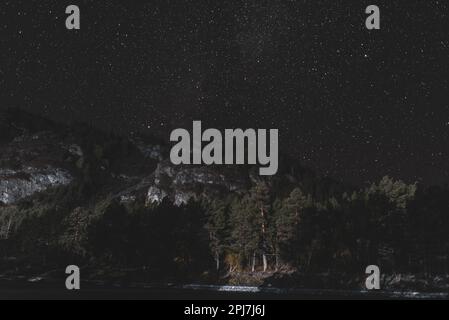 Nuit étoilée au-dessus d'une montagne sombre et d'une forêt d'épinettes d'arbres près de la rivière Katun en Altaï en Sibérie. Banque D'Images