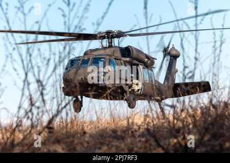 Les parachutistes avec C Co. 1-143d DANS REGT (ABN) effectuent un exercice pratique de chargement de harnais avec A Co. 1/126th AVN REGT mercredi, 29 mars 2023 à Quonset, Rhode Island. Cet exercice a permis à des soldats qualifiés pour l’assaut d’Air d’enseigner les principes de base des opérations de chargement de harnais avec l’unité pendant l’entraînement annuel 2023 de C Co et a abouti au chargement de chargement de harnais vers un Blackhawk stationnaire UH-60. (Photo de la Garde nationale de l'armée par le CPS Armani Wilson) Banque D'Images