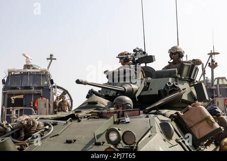 Plage de HWAJIN-RI, République de Corée (29 mars 2023) – États-Unis Les Marines avec l'équipe de Bataillon d'atterrissage 2/4, 13th Marine Expeditionary Unit, arrivent à terre dans un véhicule blindé léger pour un assaut amphibie pendant Ssang Yong 23. Célébrant le 70th anniversaire de l’Alliance des États-Unis et de la République de Corée, Ssang Yong 2023 renforce l’Alliance par une formation conjointe bilatérale, contribuant à la défense combinée de la République de Corée dans la péninsule coréenne et augmentant la préparation de l’Alliance des États-Unis et de la République de Corée. (É.-U. Photo du corps marin par le Cpl Austin Gillam) Banque D'Images