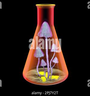 Champignons poussant en laboratoire, illustration conceptuelle Banque D'Images