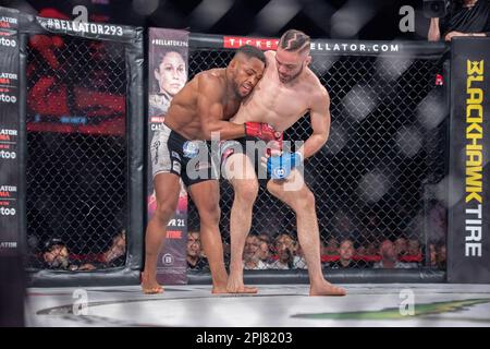 Temecula, Californie, États-Unis. 31st mars 2023. TEMECULA, CALIFORNIE - MARS 31: (G-D) Archie Colgan combat Justin Montalvo dans leur combat léger lors de l'événement Bellator 293 au Pechanga Resort and Casino on 31 mars 2023 à Temecula, Californie, États-Unis. (Credit image: © Matt Davies/PX Imagens via ZUMA Press Wire) USAGE ÉDITORIAL SEULEMENT! Non destiné À un usage commercial ! Crédit : ZUMA Press, Inc./Alay Live News Banque D'Images