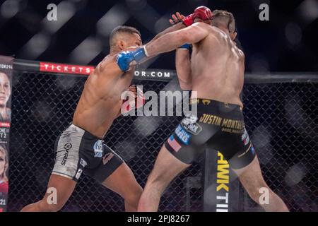 Temecula, Californie, États-Unis. 31st mars 2023. TEMECULA, CALIFORNIE - MARS 31: (G-D) Archie Colgan punt Justin Montalvo dans leur combat léger lors de l'événement Bellator 293 au Pechanga Resort and Casino on 31 mars 2023 à Temecula, Californie, États-Unis. (Credit image: © Matt Davies/PX Imagens via ZUMA Press Wire) USAGE ÉDITORIAL SEULEMENT! Non destiné À un usage commercial ! Crédit : ZUMA Press, Inc./Alay Live News Banque D'Images