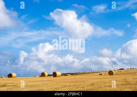 Haybales en attente de collecte dans un champ près de Portsoy, Aberdeenshire, Écosse. Banque D'Images