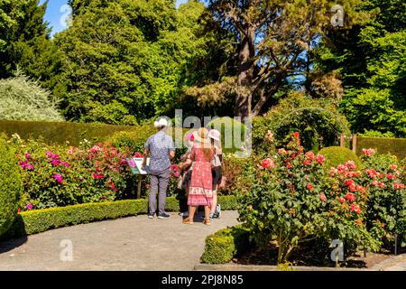 29 décembre 2022: Christchurch, Nouvelle-Zélande - Une famille de touristes portant des chapeaux, regardant un panneau dans le jardin Rose, Chritchurch Botanic Gardens, on Banque D'Images