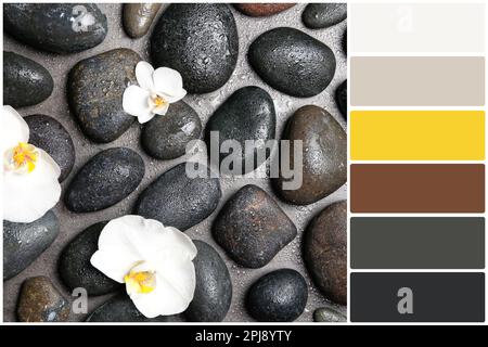 Palette de couleurs et pierres spa avec de belles fleurs sur fond gris, plat. Collage Banque D'Images