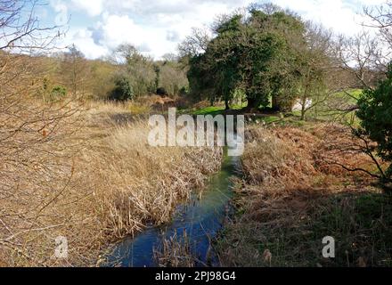 Une vue sur la rivière Ant en suivant le chemin de l'ancien North Walsham et du canal Dilham en aval du pont Haining, Norfolk, Angleterre, Royaume-Uni. Banque D'Images