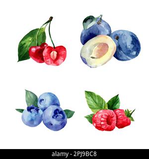 Ensemble d'illustrations aquarelle avec baies. Framboises, bleuets, prunes, cerises sur fond blanc. Une alimentation saine. Végétarisme. Banque D'Images