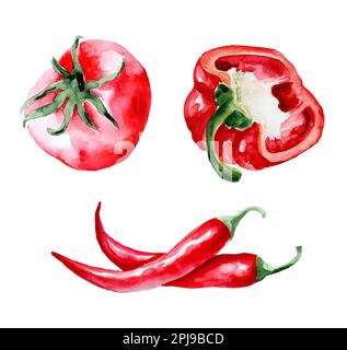 Tomate, piment, paprika rouge. Ensemble d'illustrations aquarelles isolées sur fond blanc. Formation du menu, café. Une alimentation saine Banque D'Images