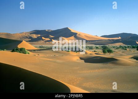 GIANT DESERT SAND DUNE Sossusvlei désert Namib Naukluft PARK NAMIBIE ERONGO Banque D'Images