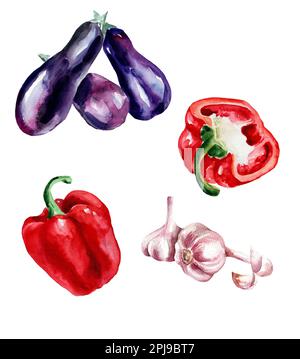 Aquarelle des dessins de légumes. Aubergine, ail, paprika Banque D'Images