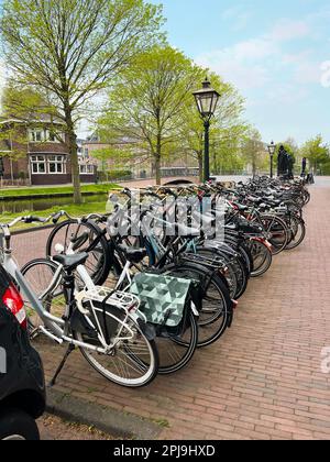 Beaucoup de vélos différents garés dans la rue de la ville Banque D'Images