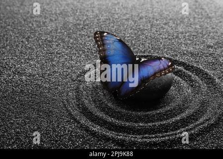 Magnifique papillon et pierre sur sable noir avec motif. Concept Zen Banque D'Images