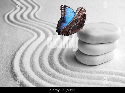 Beau papillon et pierres sur sable blanc avec motif. Concept Zen Banque D'Images