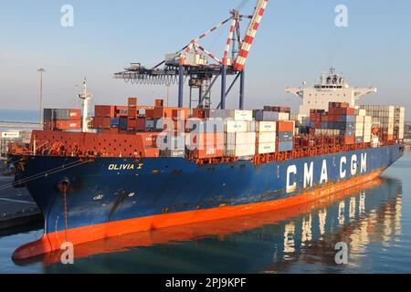 Livourne, Italie - 08 20 2023: Terminal à conteneurs avec conteneurs rangés de différents expéditeurs grues portiques et chariots à cheval à Livourne. À hori Banque D'Images