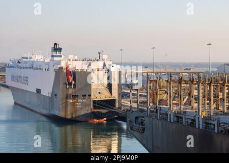 Livourne, Italie - 08 20 2023: Terminal à conteneurs avec conteneurs rangés de différents expéditeurs grues portiques et chariots à cheval à Livourne. À hori Banque D'Images