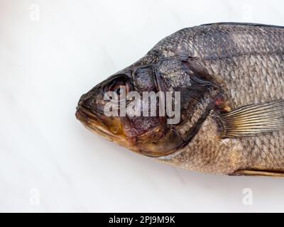 Le poisson séché sur fond de marbre. Banque D'Images