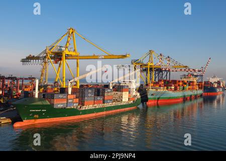 Livourne, Italie - 08 20 2023: Terminal à conteneurs avec conteneurs rangés de différents expéditeurs grues portiques et chariots à cheval à Livourne. À hori Banque D'Images