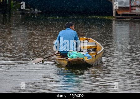 Srinagar, Inde. 01st avril 2023. Un boatman décale son bateau à travers le lac Dal pendant les pluies à Srinagar. Une alerte météo orange est en place dans la vallée du Cachemire jusqu'à 6 avril. Le département météorologique a déclaré que la pluie intermittente dans les plaines et les chutes de neige au-dessus de la portée plus élevée sont susceptibles de se poursuivre dans la plupart des endroits du Jammu-et-Cachemire dans les 24 prochaines heures. Crédit : SOPA Images Limited/Alamy Live News Banque D'Images