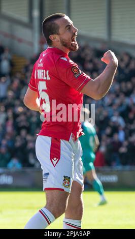 Wrexham, Wrexham County Borough, pays de Galles. 1st avril 2023. Eoghan O'Connell de Wrexham célèbre son but, lors du club de football de l'association Wrexham V Oldham Athletic Association football Club au terrain de course, dans la Vanarama National League. (Image de crédit : ©Cody Froggatt/Alamy Live News) Banque D'Images