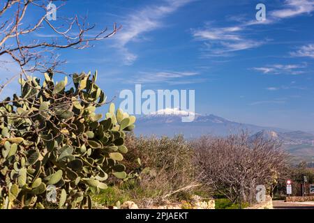 Vue sur l'Etna depuis Morgantina. Au premier plan, le cactus de poire pickly sicilien typique. Matin ensoleillé Banque D'Images