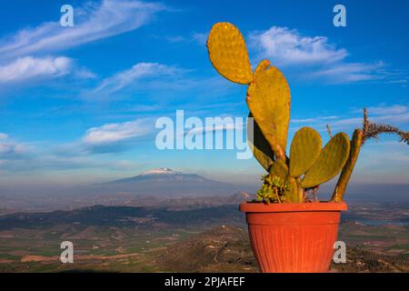 Pot de poire et volcan Etna recouvert de neige en arrière-plan. Aidone, Sicile Banque D'Images