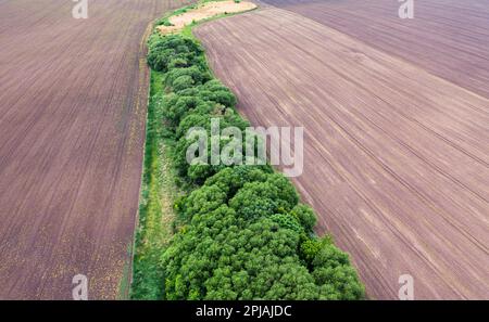 Vider les champs agricoles sans terres et une bande de forêt verte dans la campagne. Terre fertile de haute qualité. Vue de drone. Banque D'Images