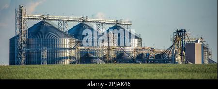 Un immense silo de céréales s'élève au milieu de champs verdoyants et d'un ciel bleu époustouflant. Un symbole de la prouesse agricole et de la richesse de la nature Banque D'Images