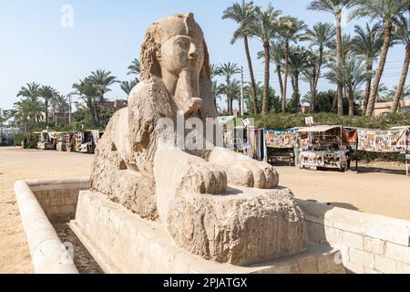 Une statue de type sphinx d'un pharaon au musée en plein air de Memphis, en Égypte Banque D'Images