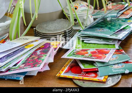 Une sélection de paquets de graines sur une table de café prêts à être semées. Banque D'Images