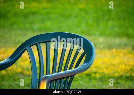 Une chaise en plastique vert se trouve devant un champ de fleurs jaunes. Banque D'Images