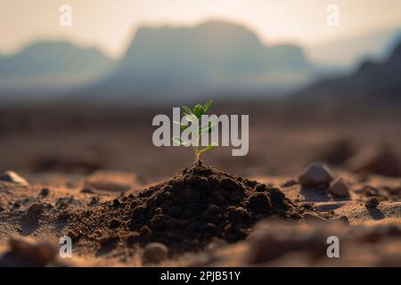 Une plantule verte qui pousse à partir d'une pile de sol avec un désert en arrière-plan Banque D'Images